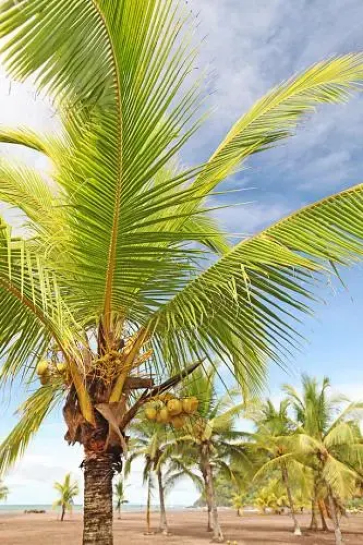 Best in Jaco Condos at Bahia Encantada