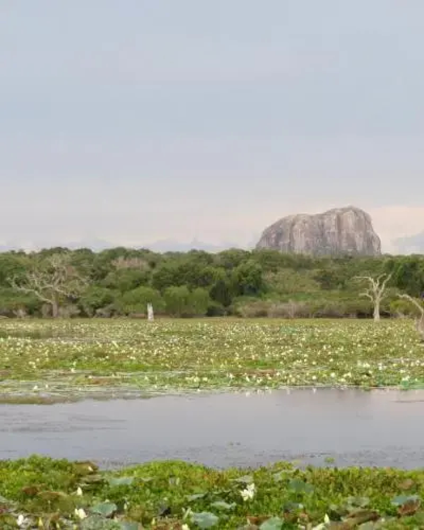 Ruhunu Safari Camping