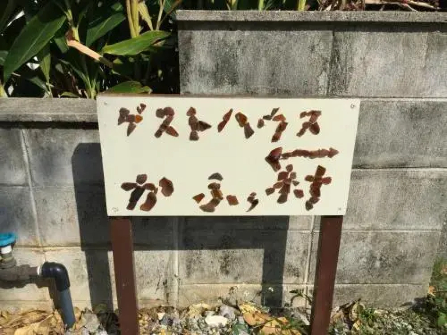 Sesoko Island Guest House Kafuu Village