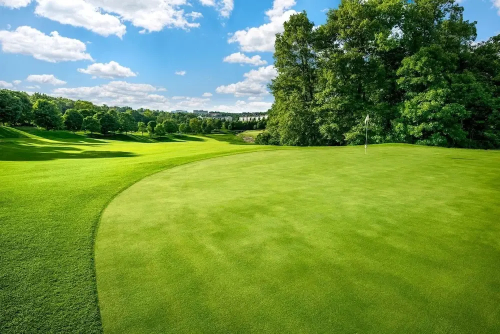 Cabins at Grand Mountain by Thousand Hills Resort