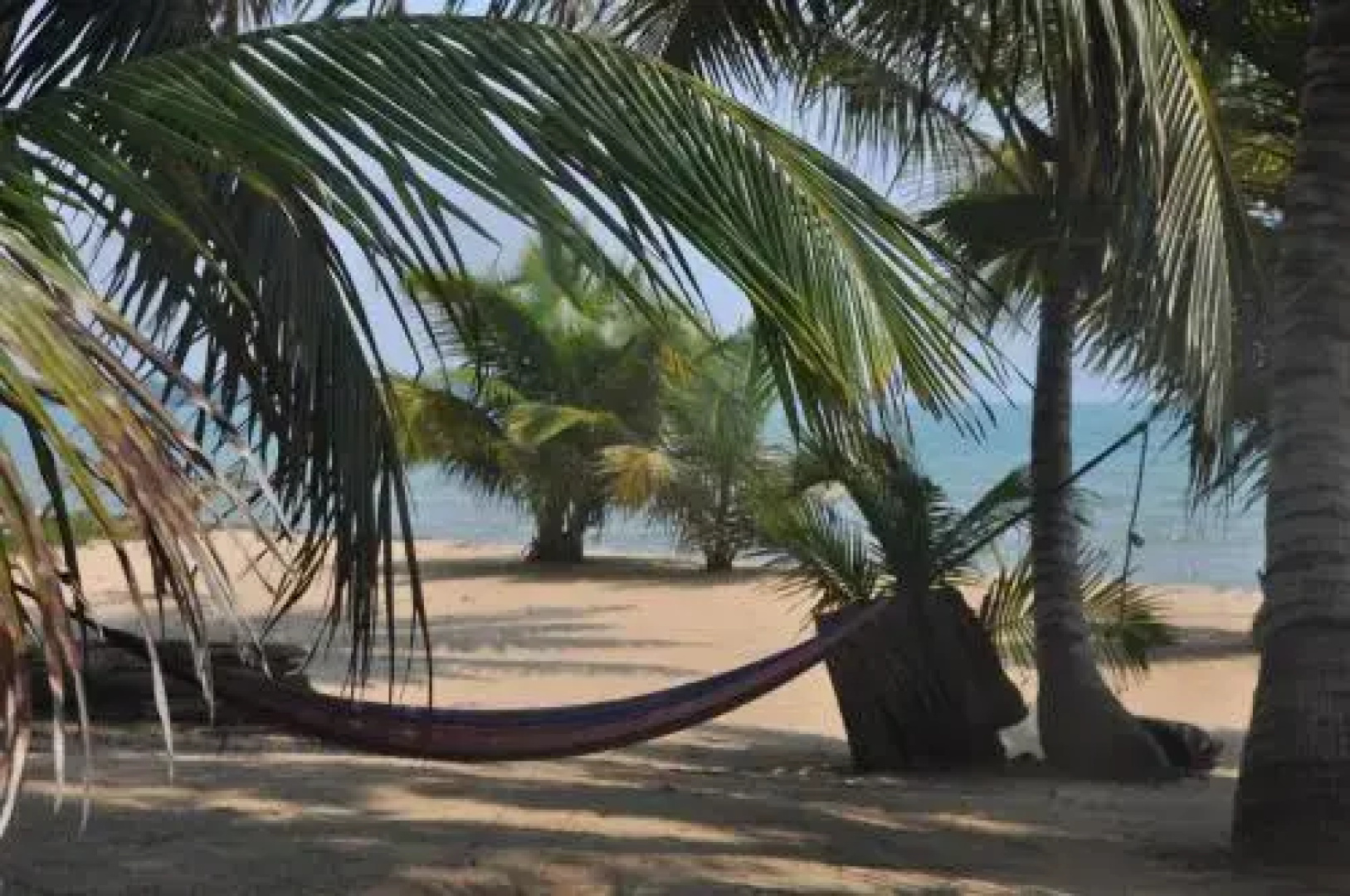 Sabal Beach