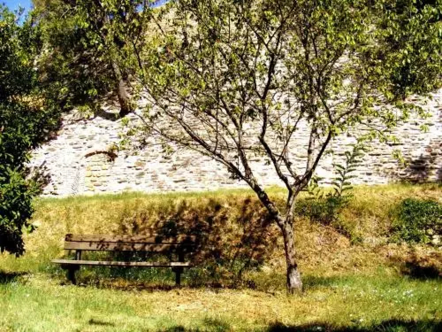 Al Castello di Montalfoglio