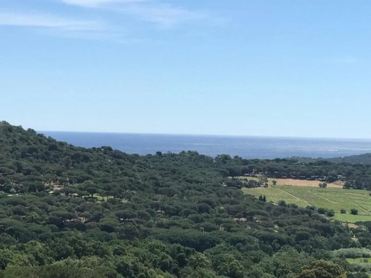 La Vigne De Ramatuelle