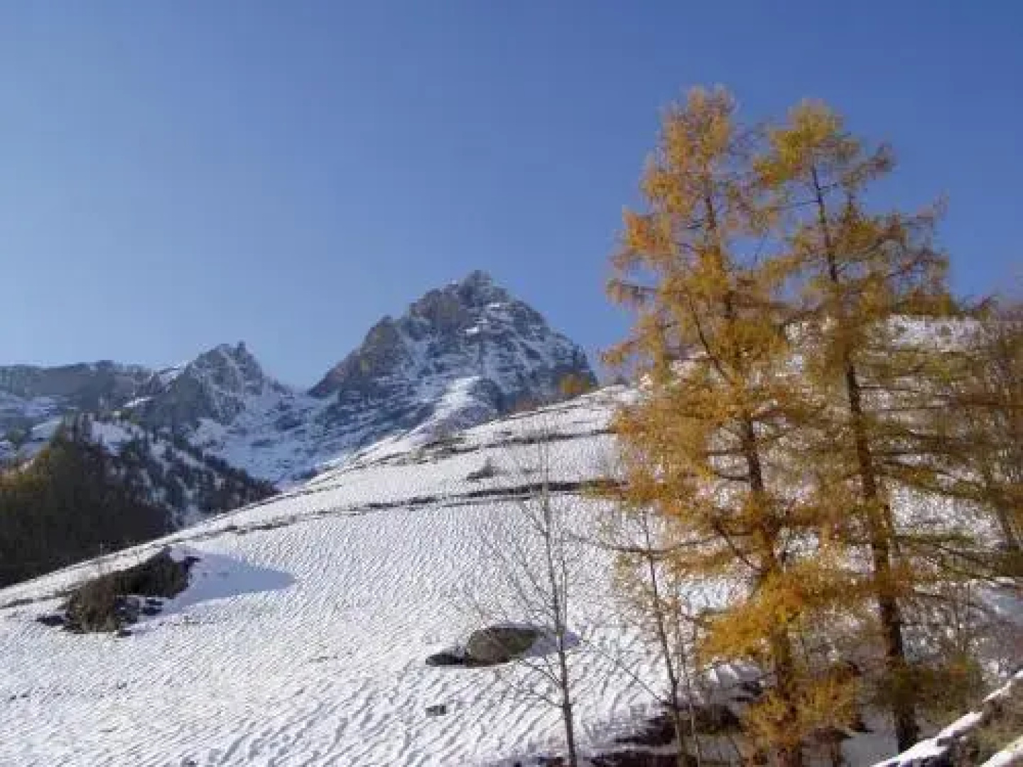Casa Stella Alpina