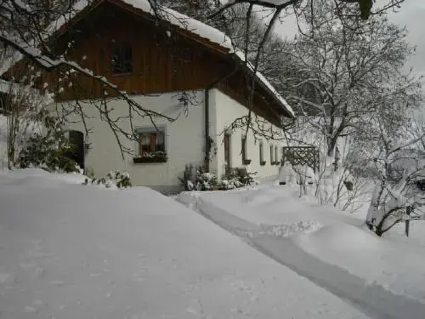 Ferienhaus Natur