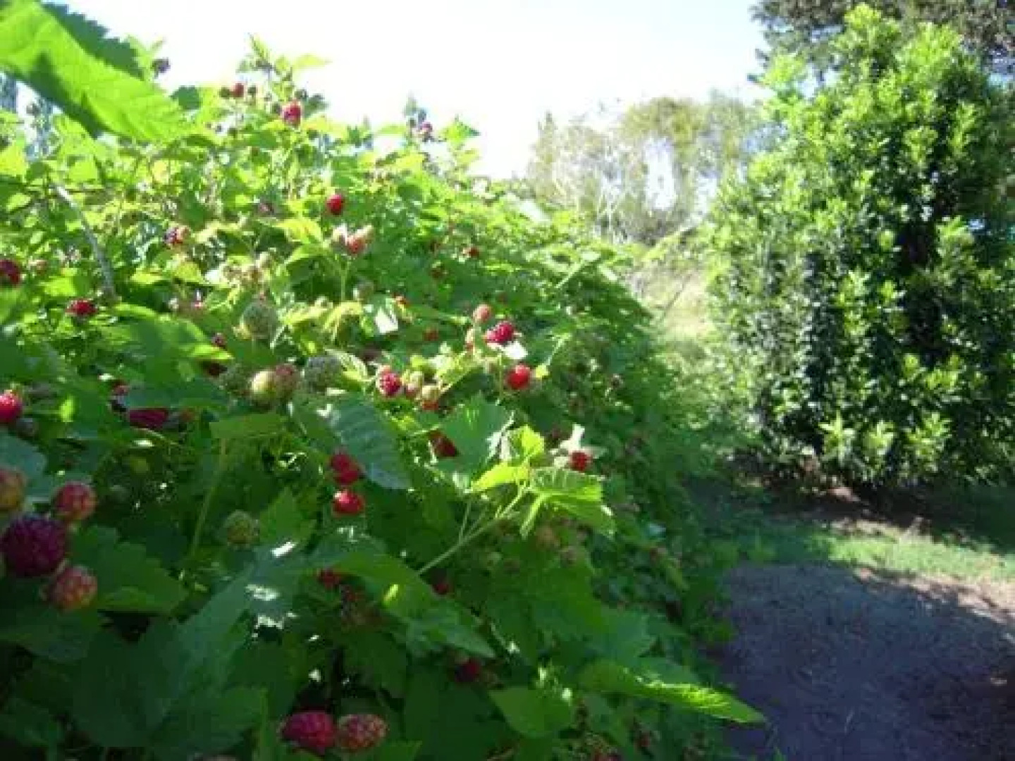 Bed & Breakfast Faraway Farm House