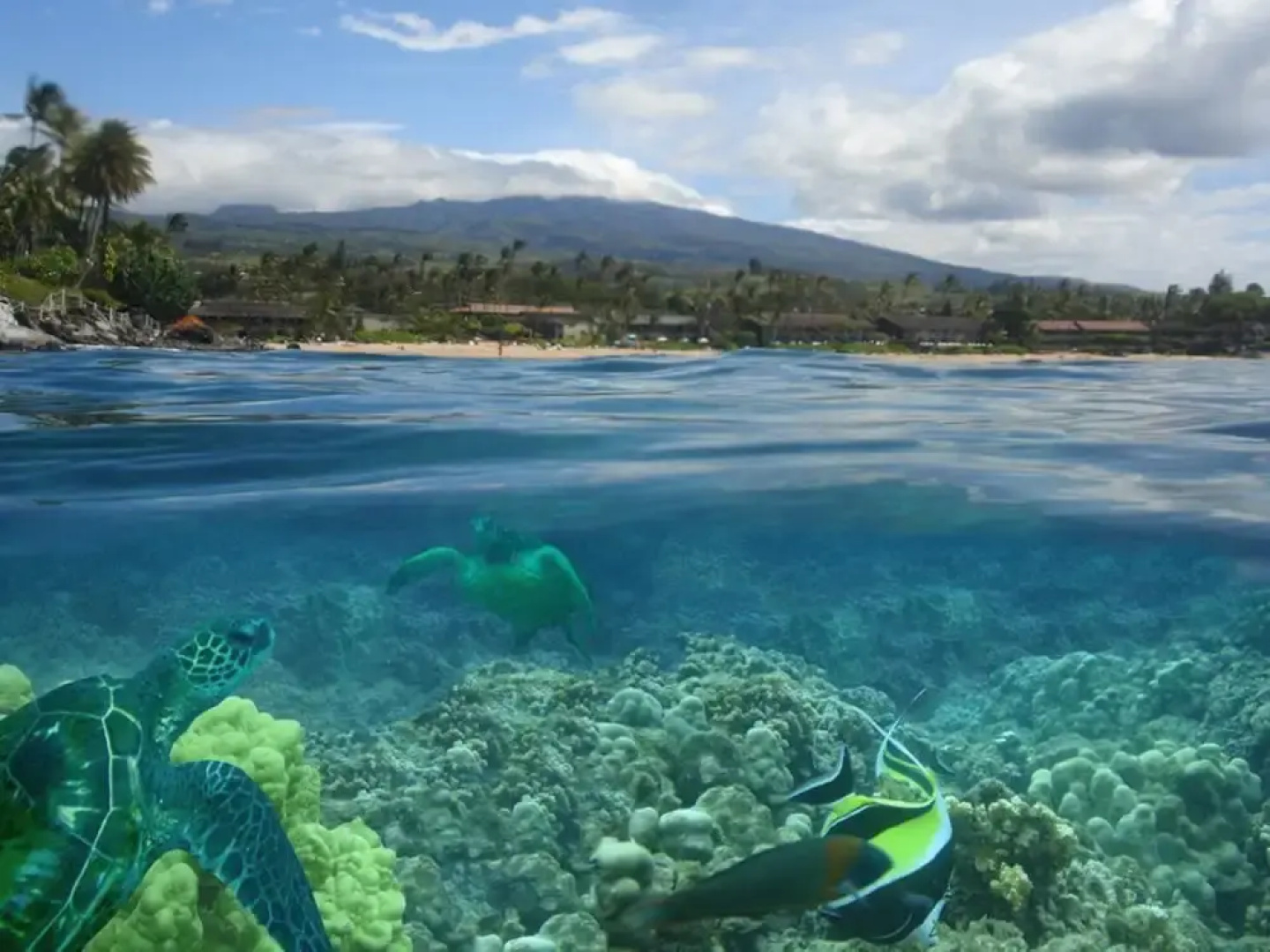 Kapalua Bay Villa 11g4 Ocean View