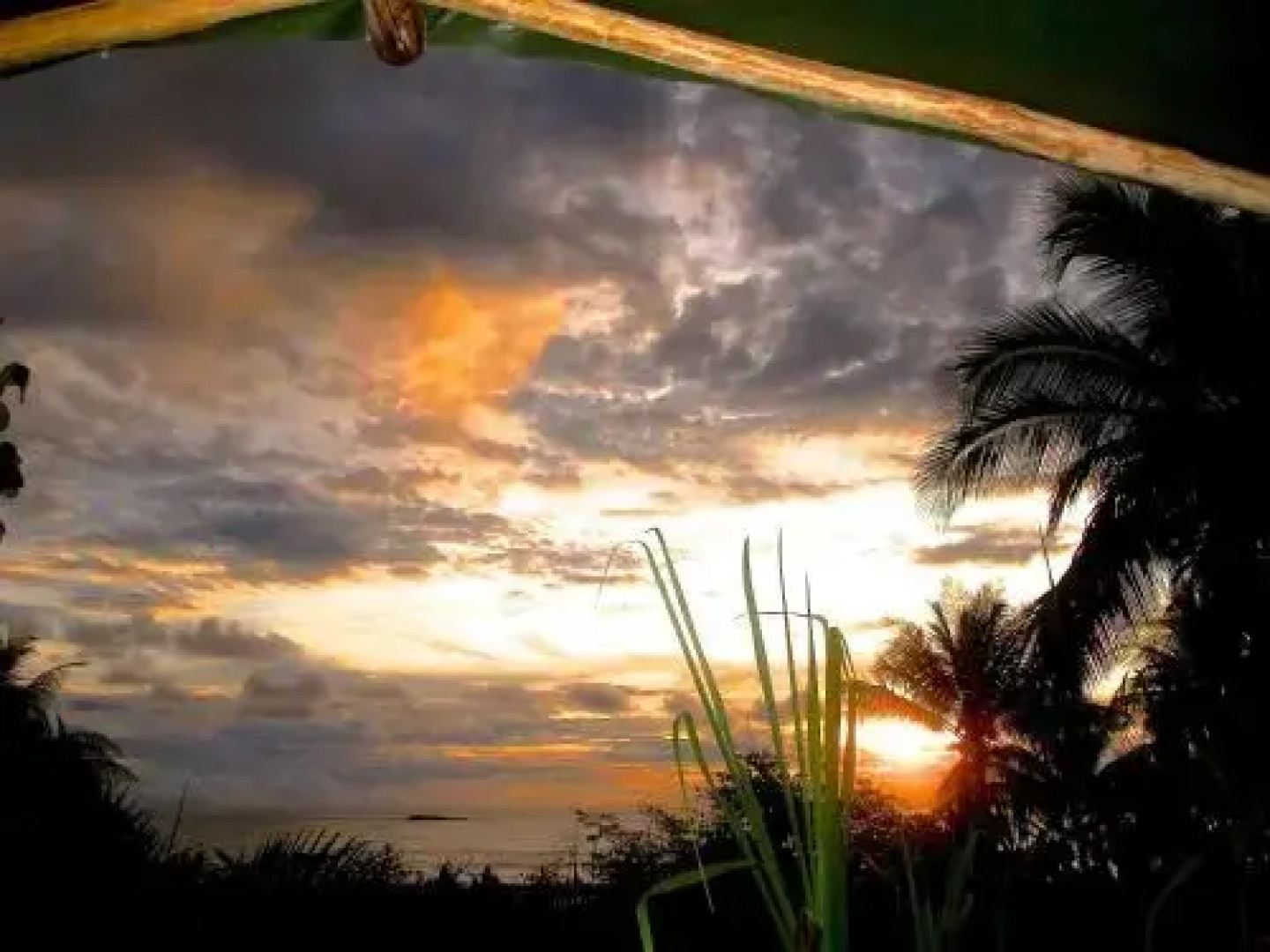 Guaria de Osa Ecolodge
