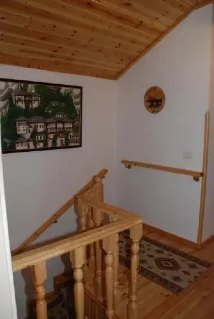 Hotel Domino
