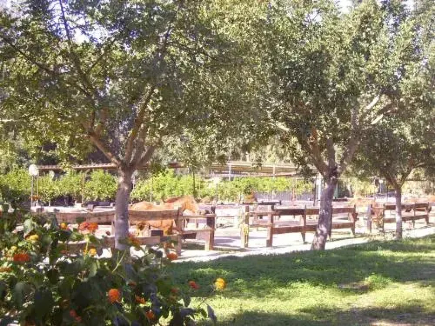 B&B Emoyeni