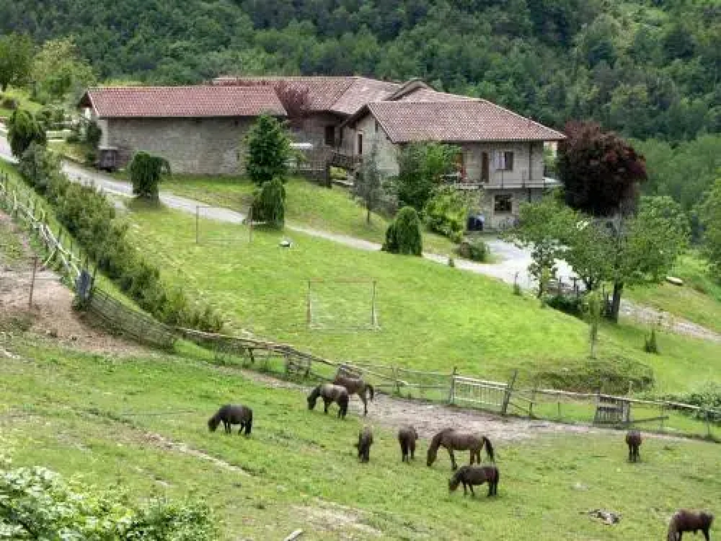 Agriturismo Gallo