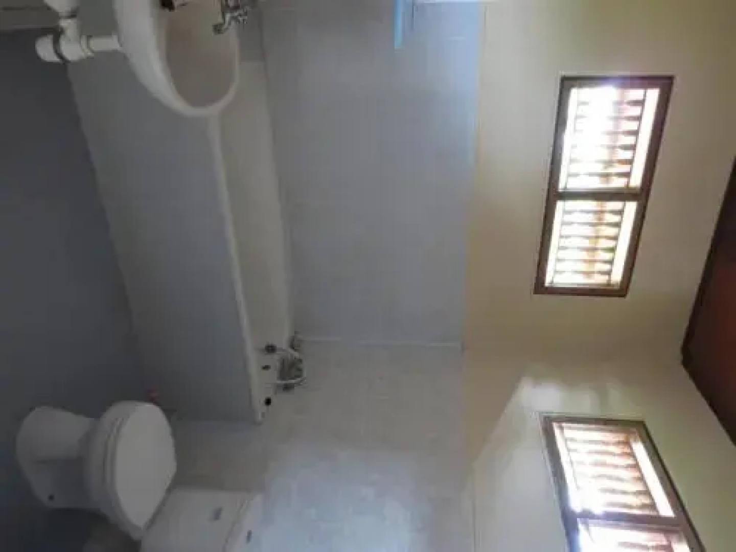 Paradise Palm Beach Bungalows