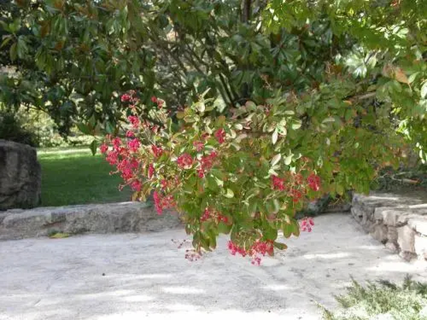 A Cappella