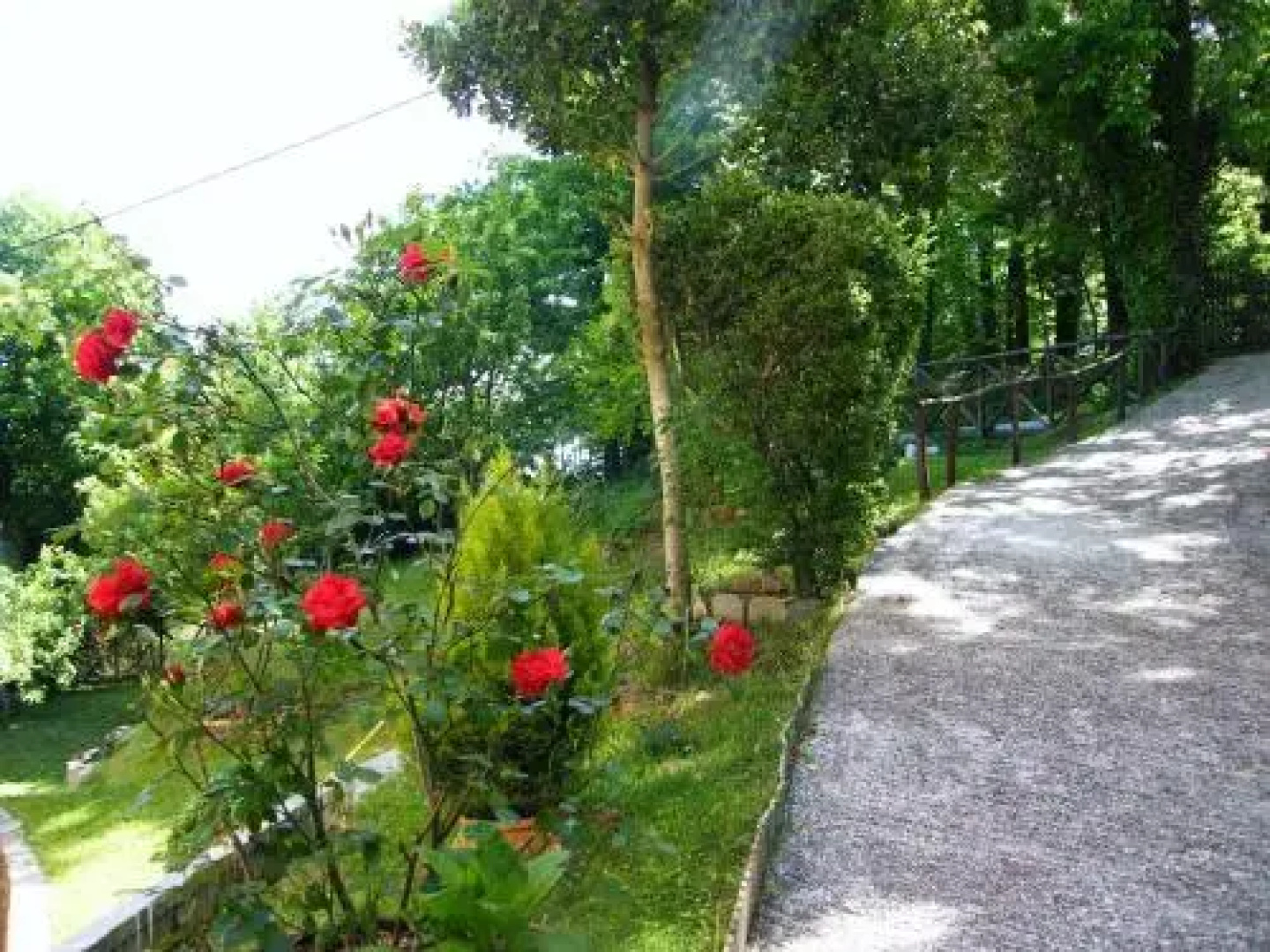 Filoxenia
