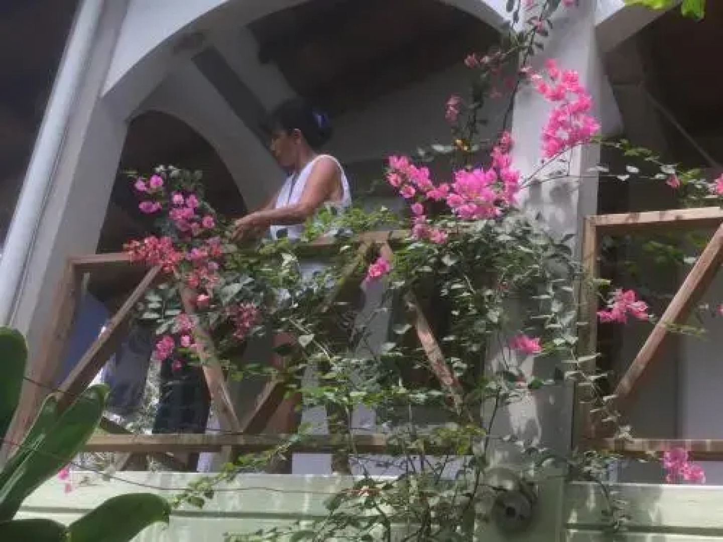 Cabaña Tucan