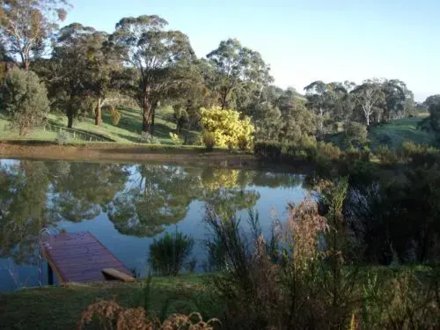 Lavandula Country House