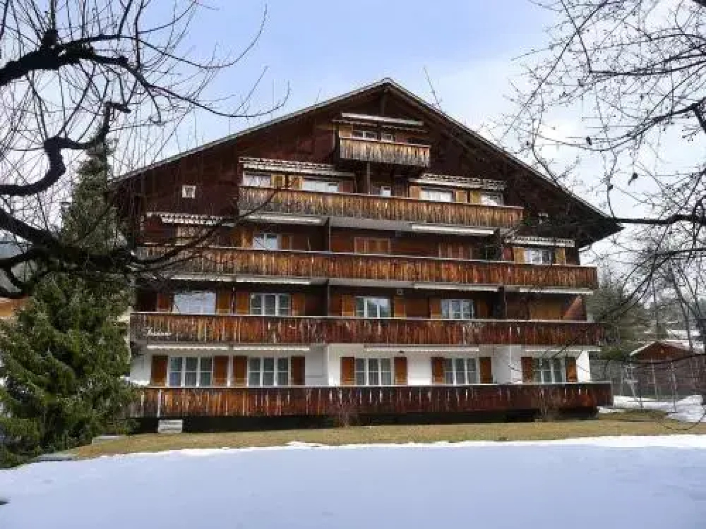 Saanen (utoring) - Inh 25200