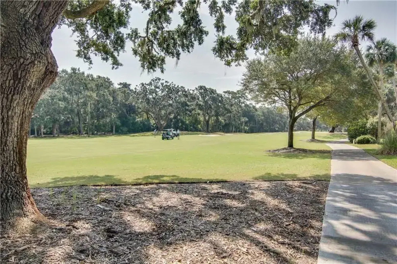 Hidden Oaks Drive 3011 by RedAwning