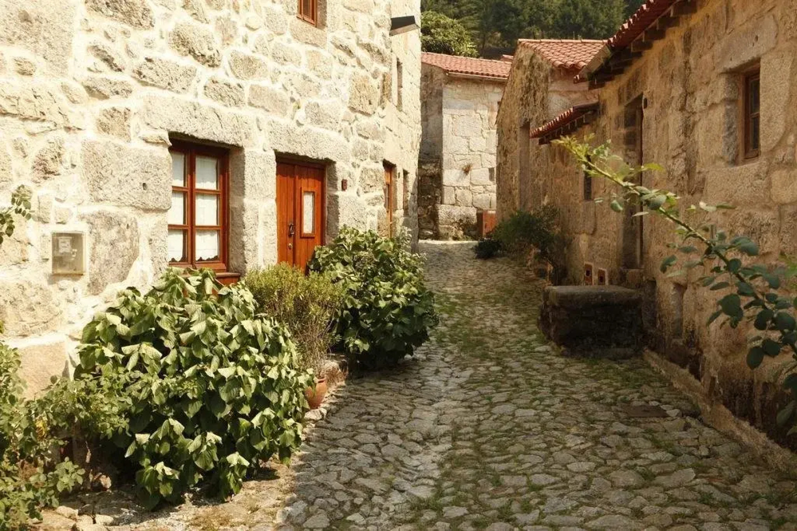 Povoa Dao Turismo de Aldeia e Natureza