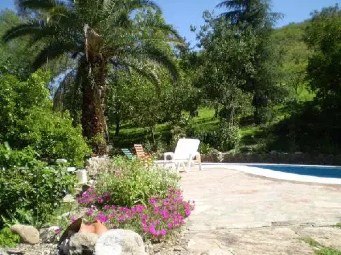 Cabaña Paca Huasi