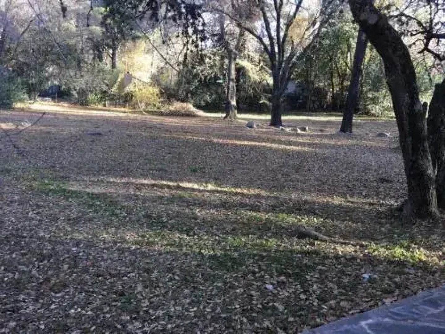 Cabañas Nuova Terra