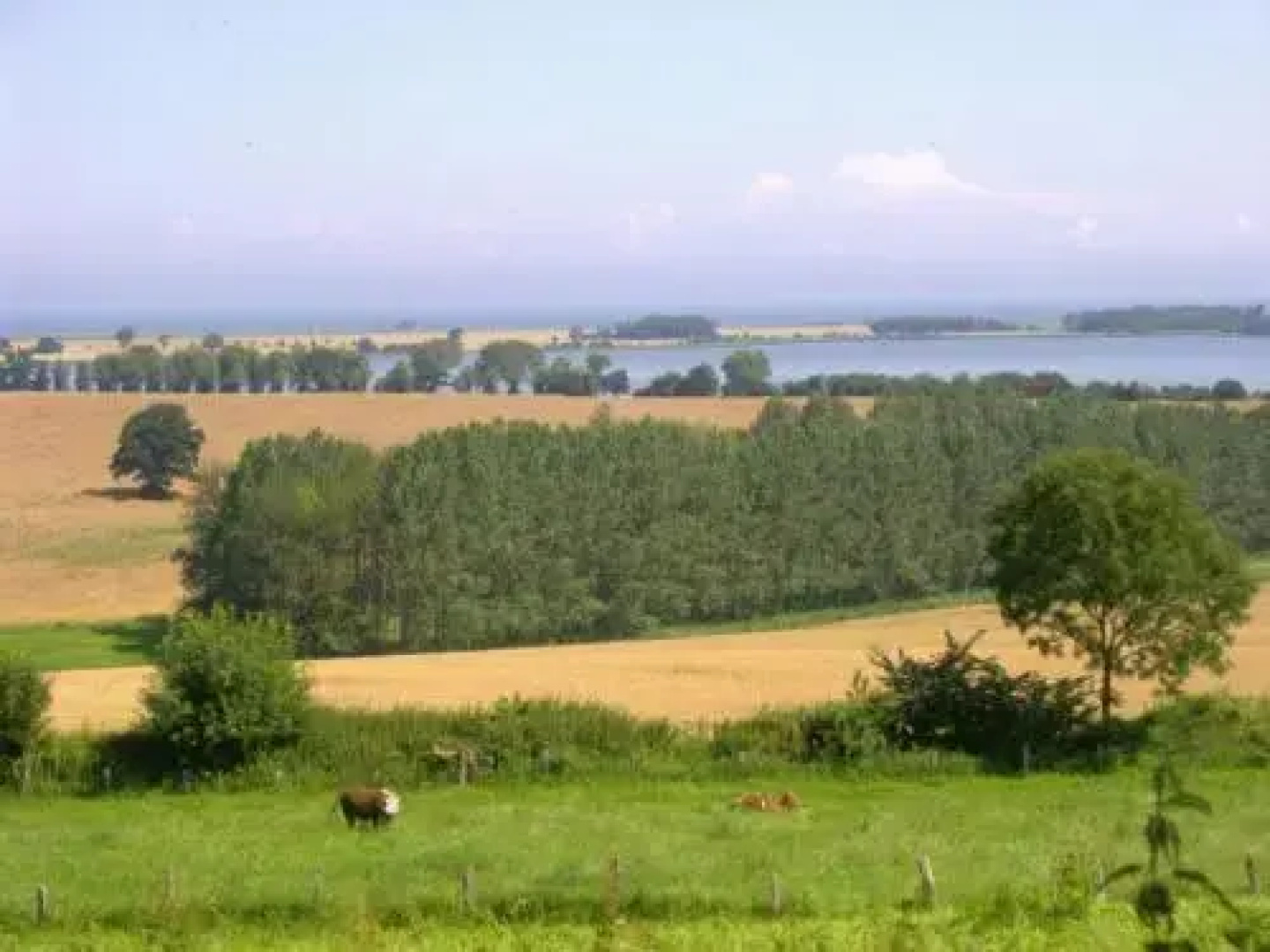 Ferienwohnungen und Ferienhaus im Nixenweg