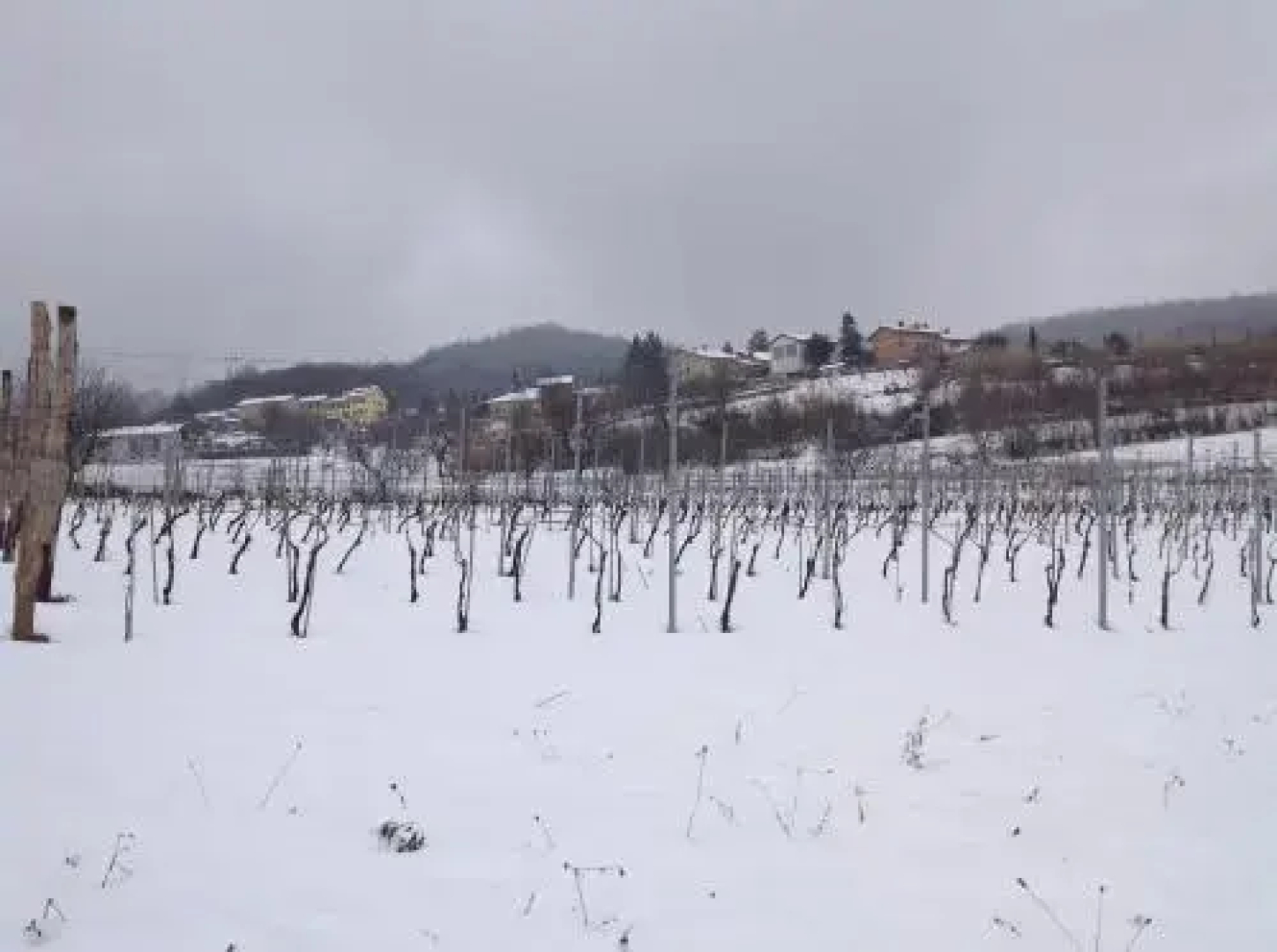 Azienda Agricola Garoglio Davide