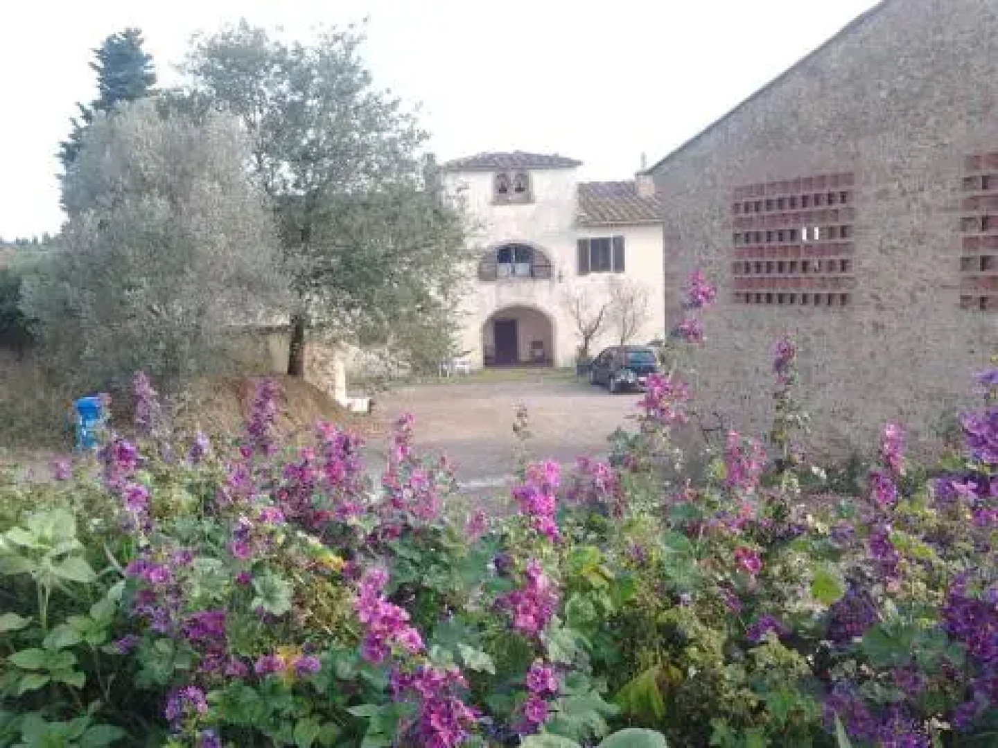 Fattoria Palaia