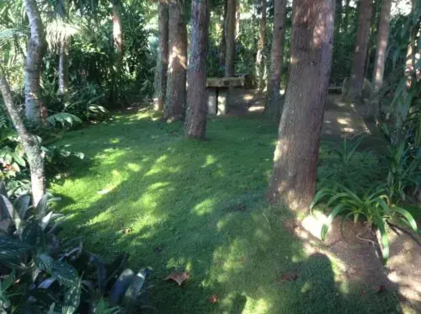 Quinta de Santana - Queimadas