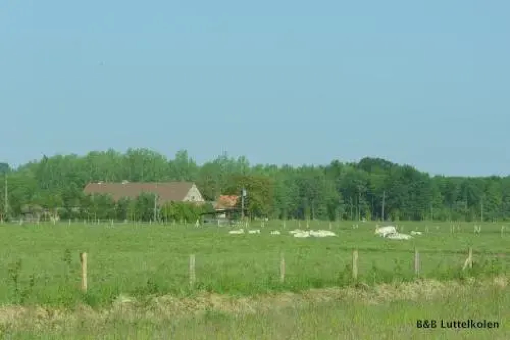 Luttelkolen