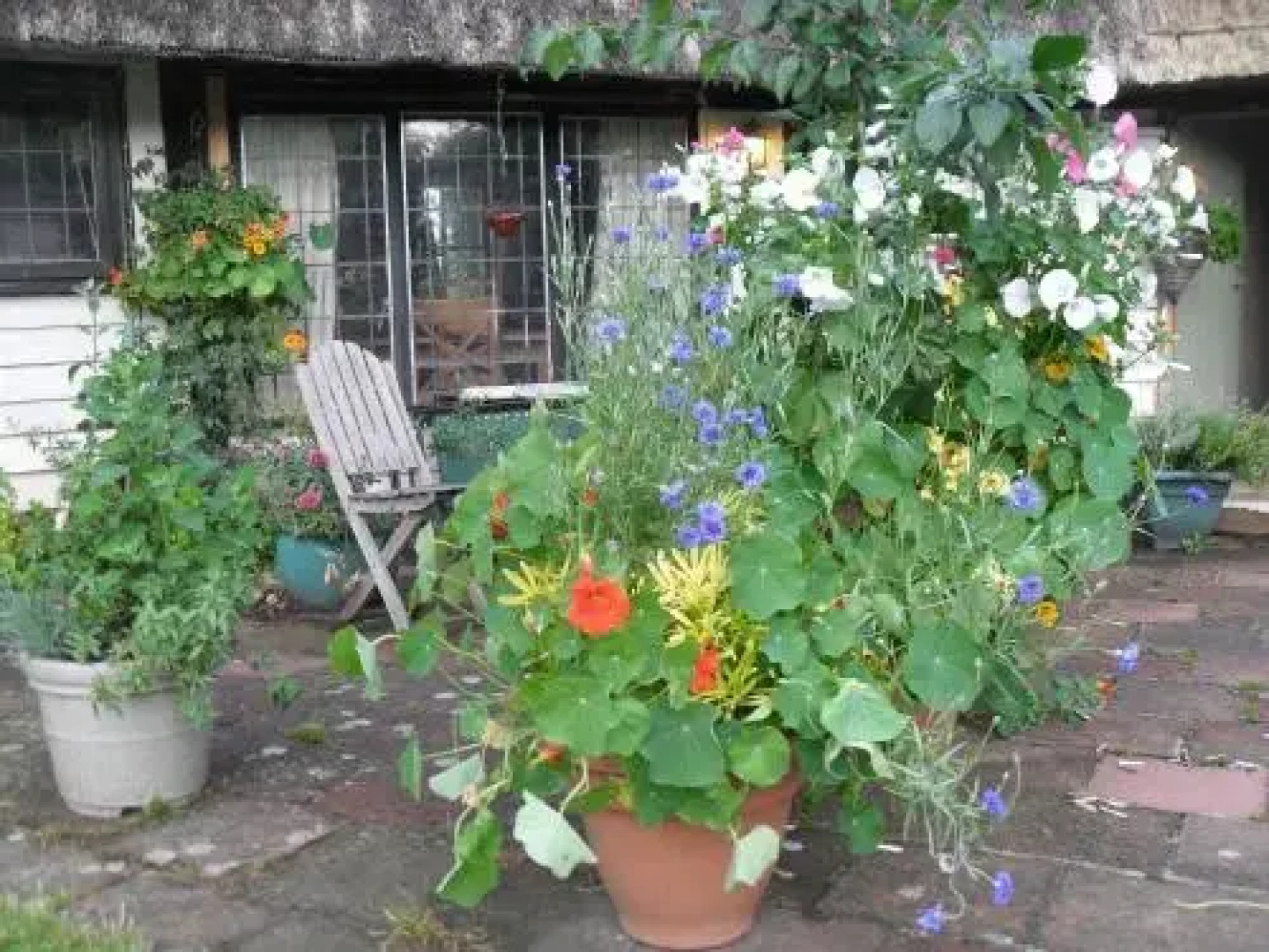 Church Hall Farm Bed And Breakfast