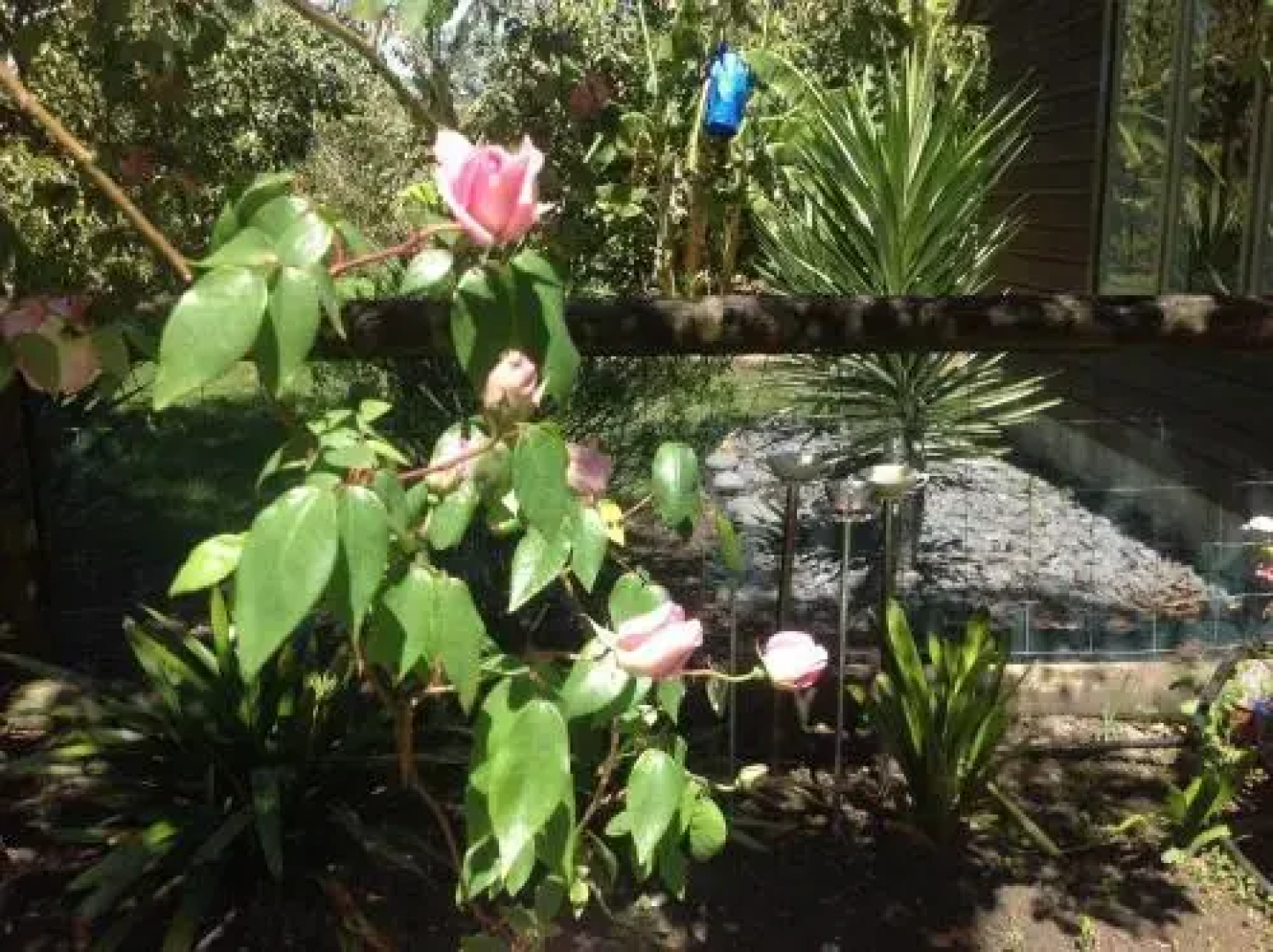 La Frontiere Boutique Accommodation (Adults Only)
