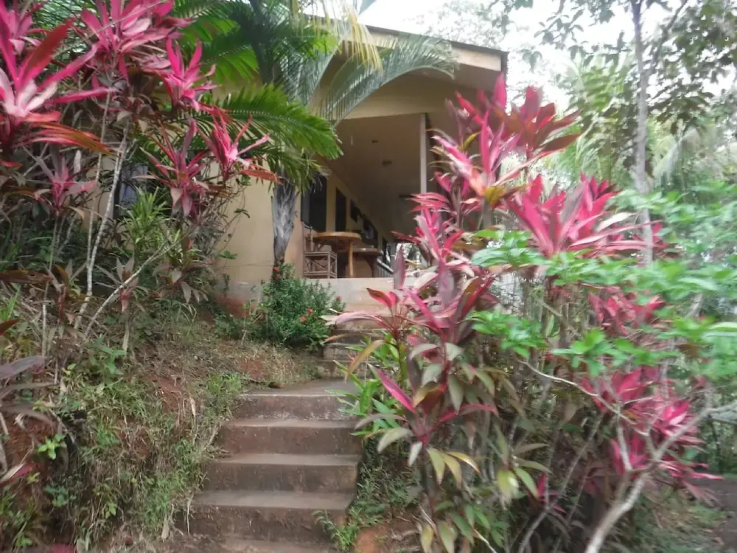 Club Fred Hotel Costa Rica
