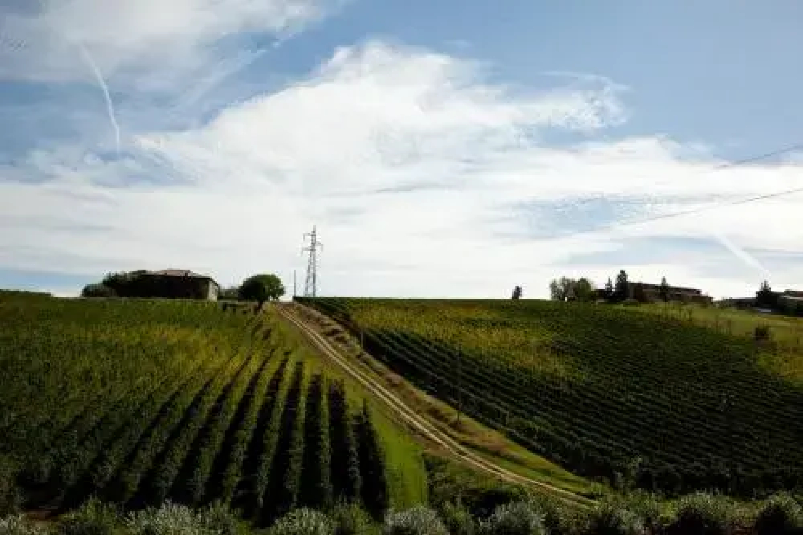 Antico Casale delle Vigne