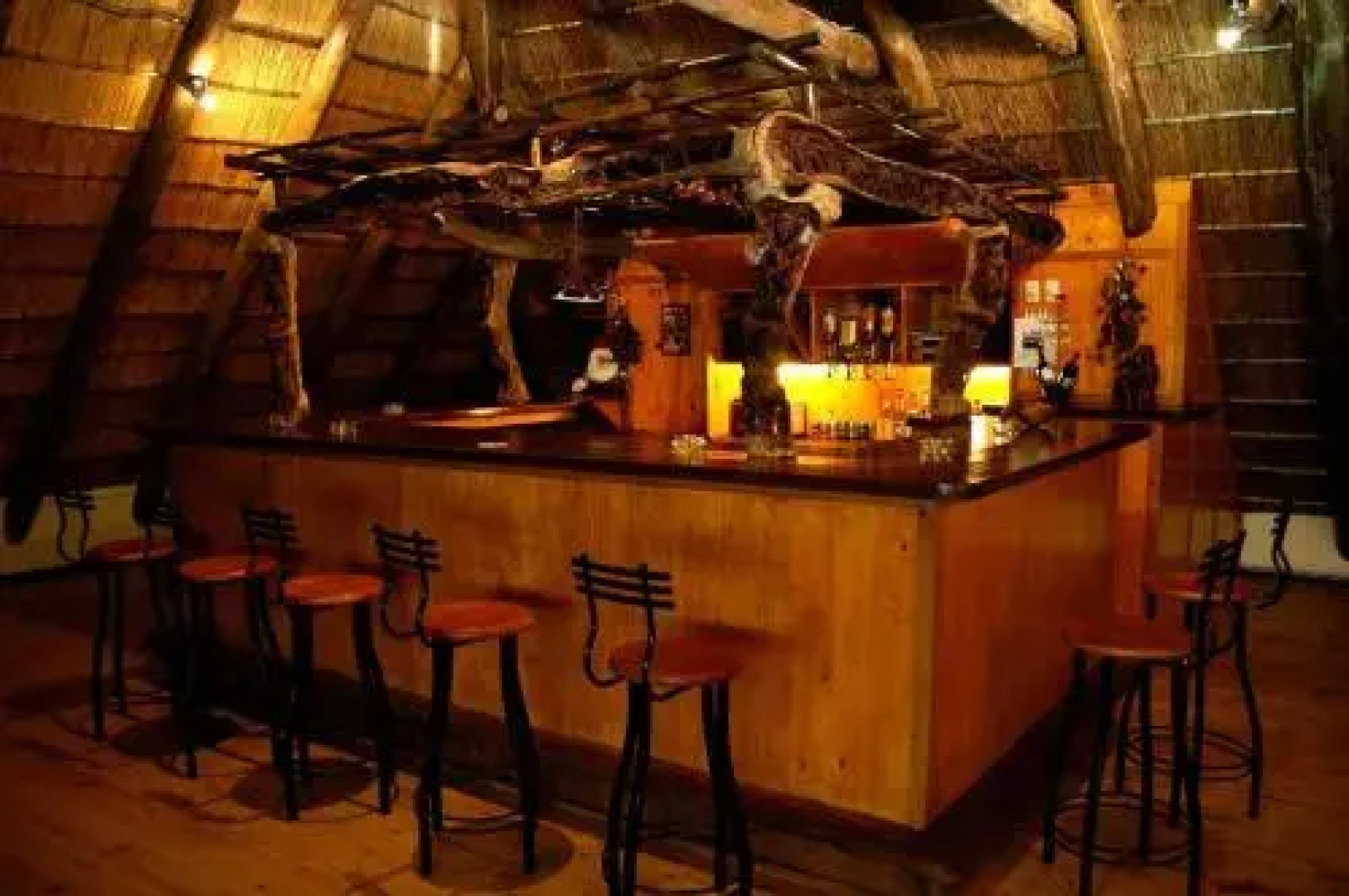 Bushbaby Lodge