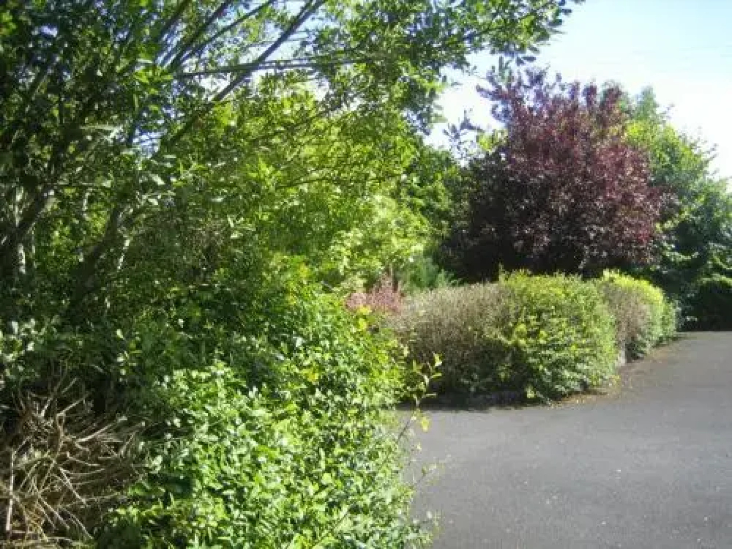 Bunratty Grove Bed And Breakfast