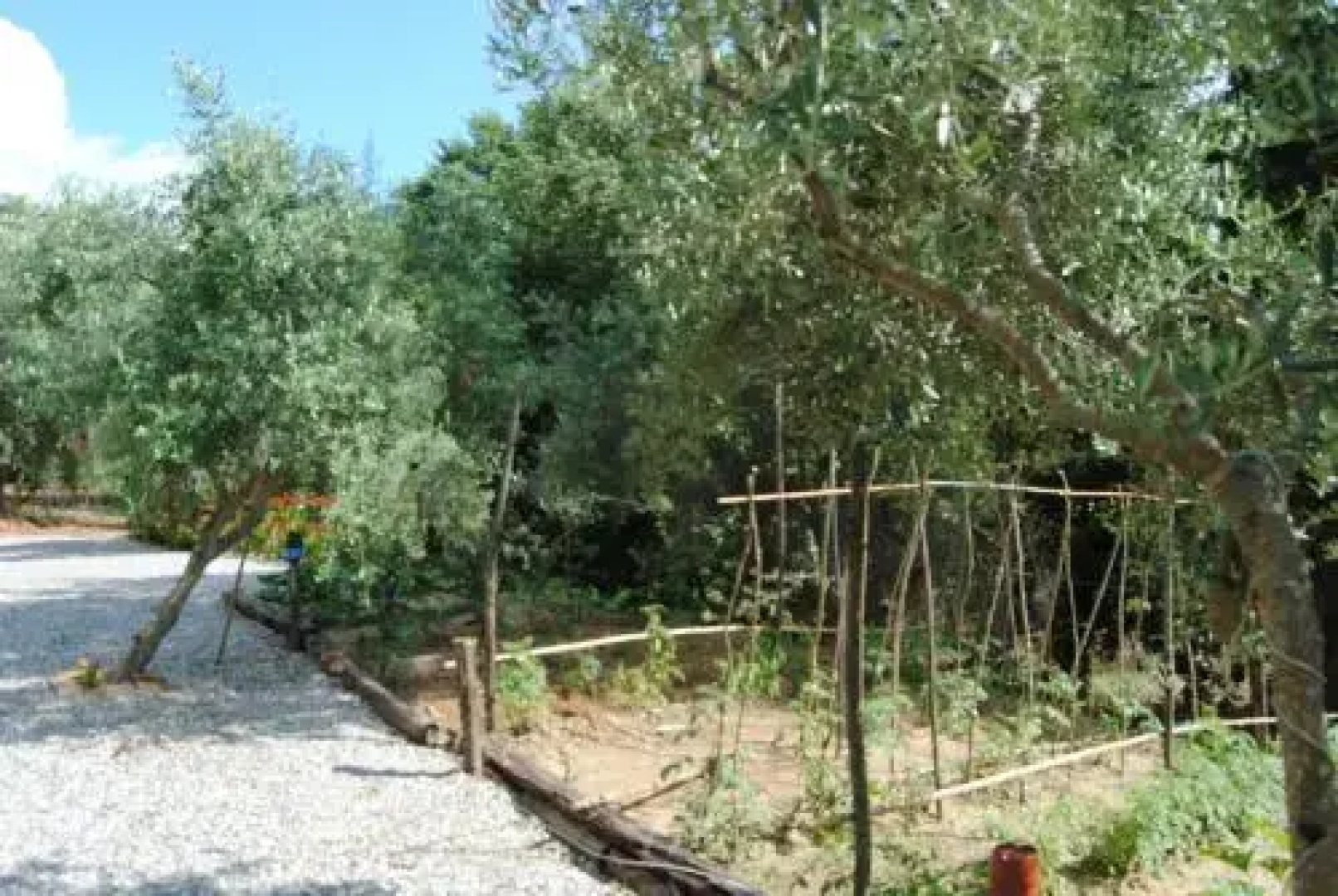 Agriturismo Casa Gioffrè