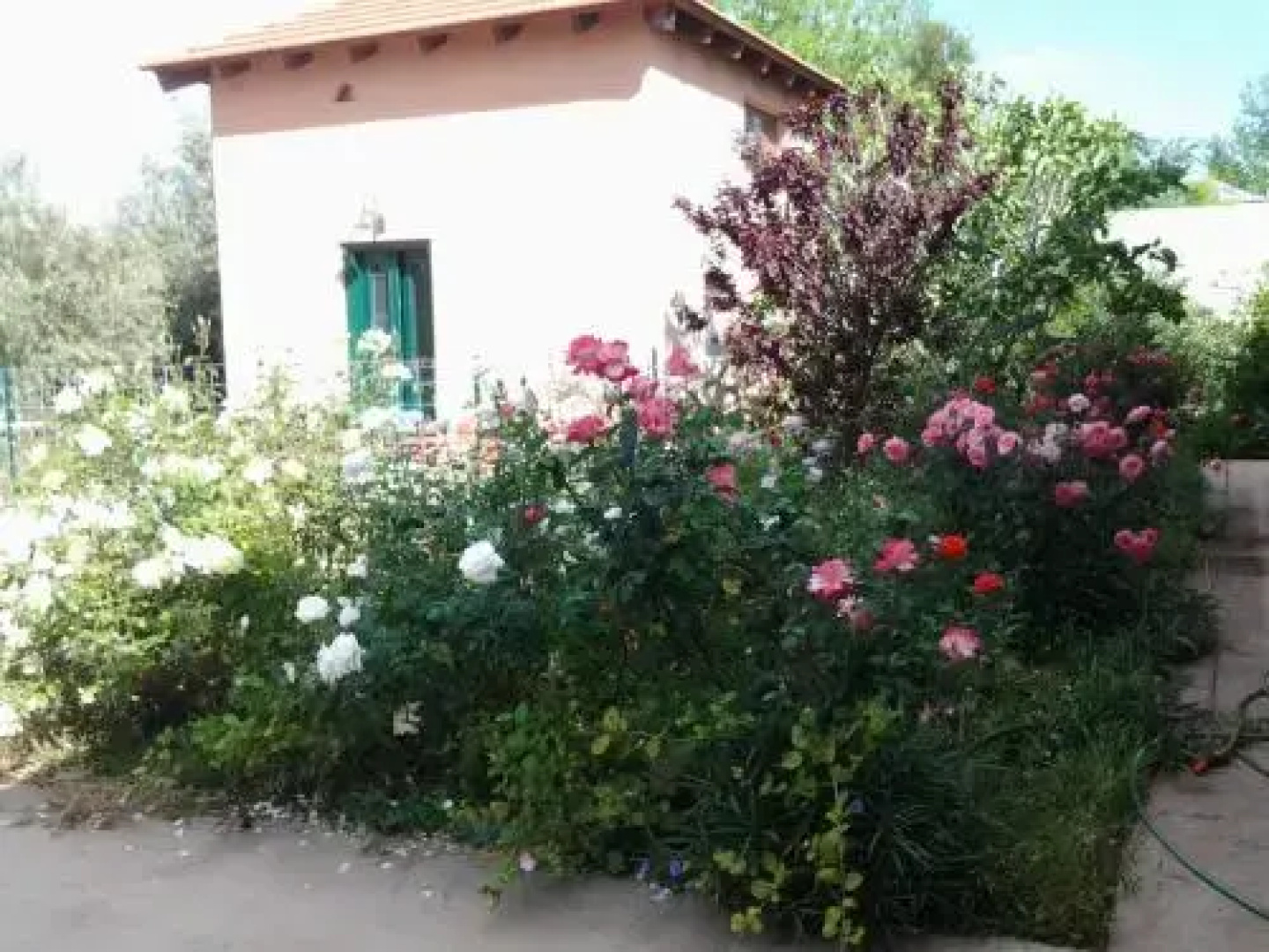 Villa Alma