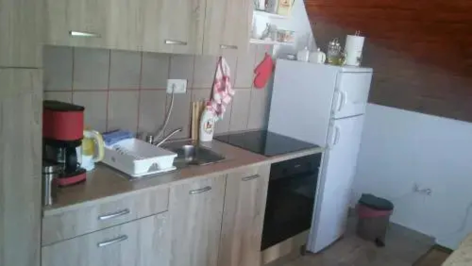 Ruža