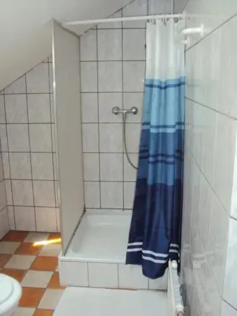 Lila Akc Panzi Esztergom