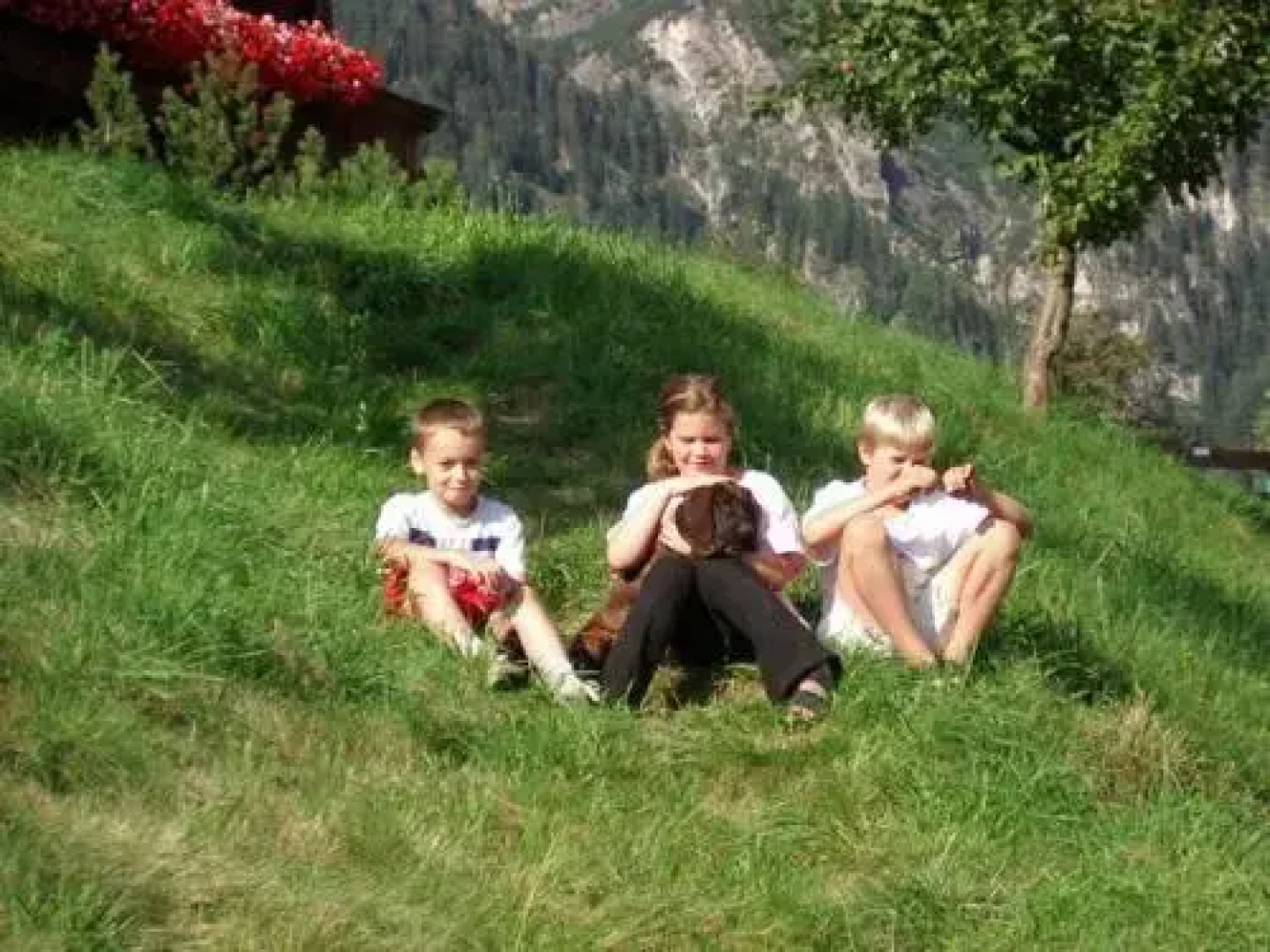 Hütte - Ferienhaus Bischoferhütte für 4-10 Personen