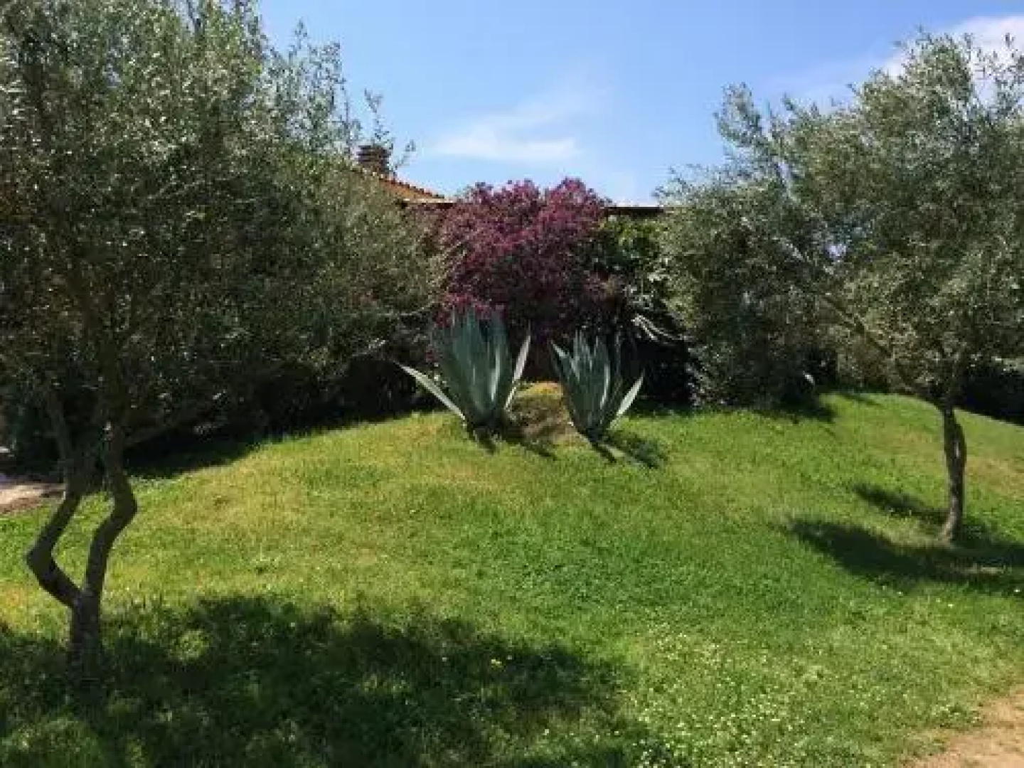 Agriturismo Campesi