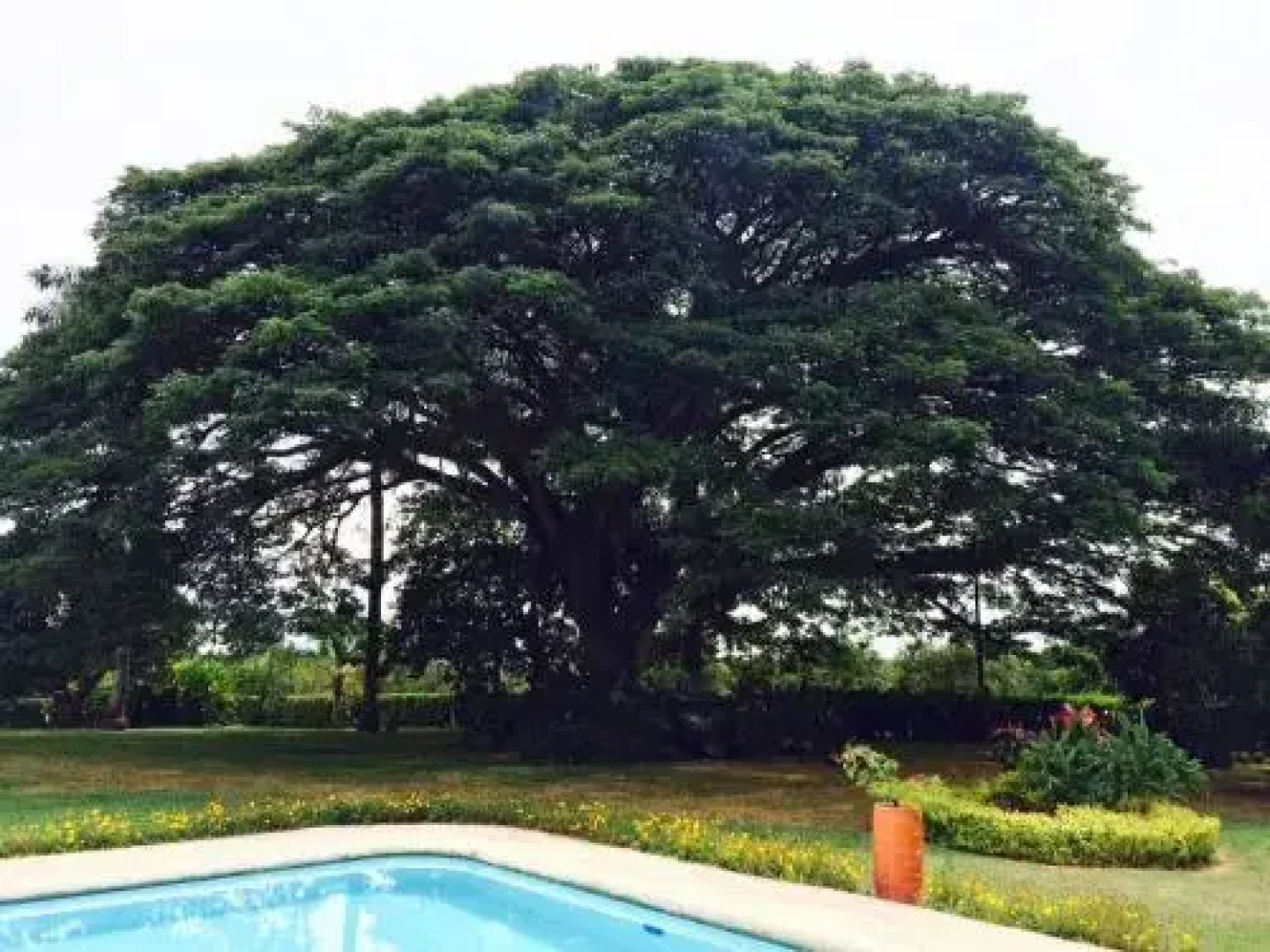 Finca Pernambuco