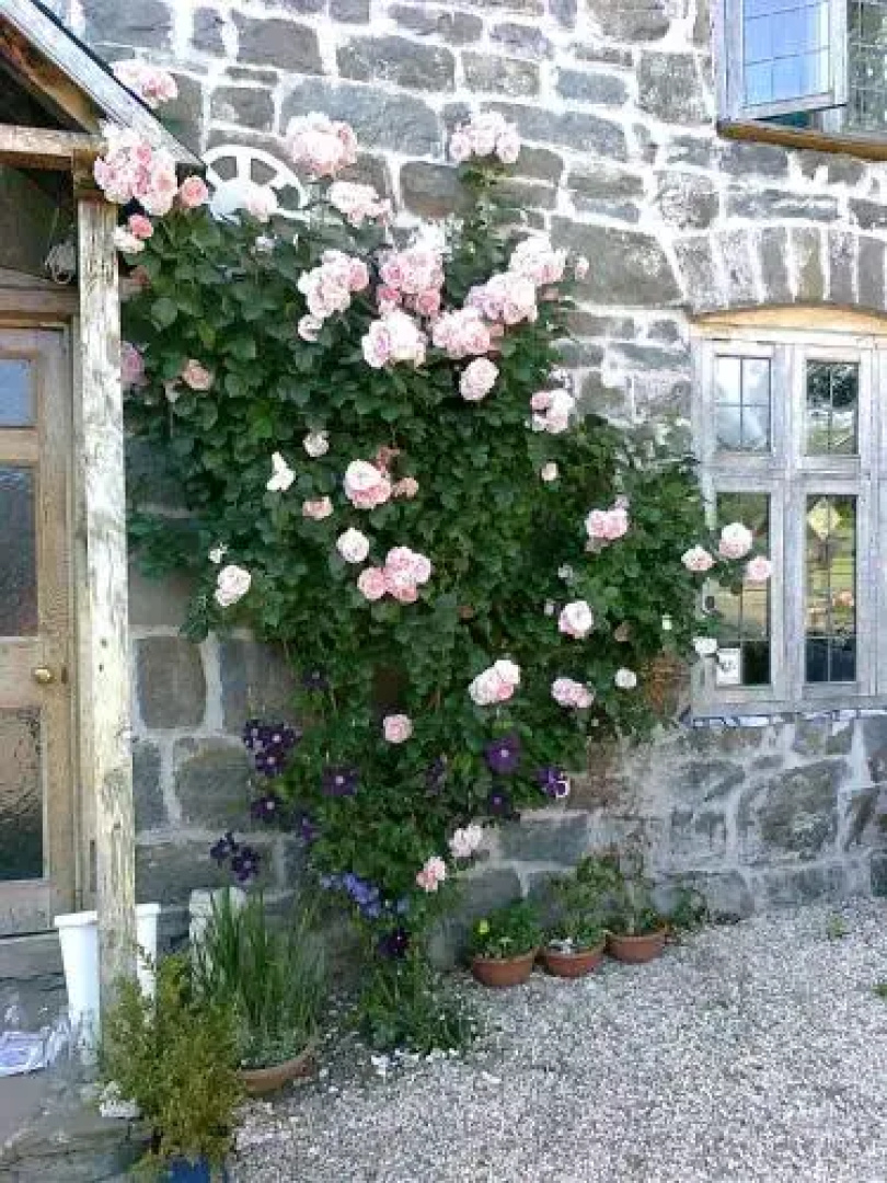 The Old Wheelwright