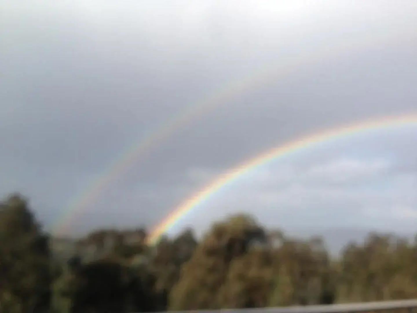 Harmony Harvest Health Retreat