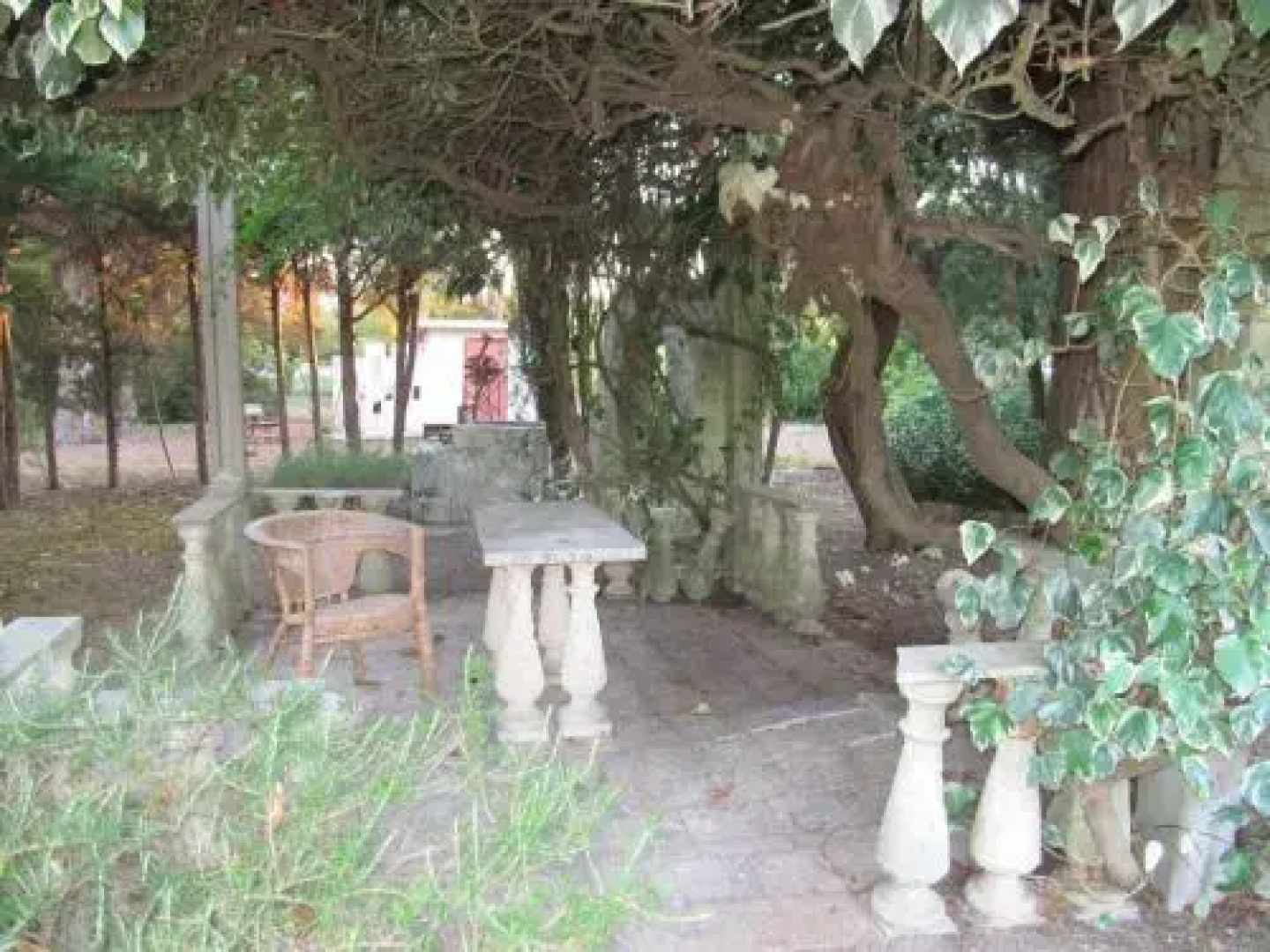 Garden Lucia