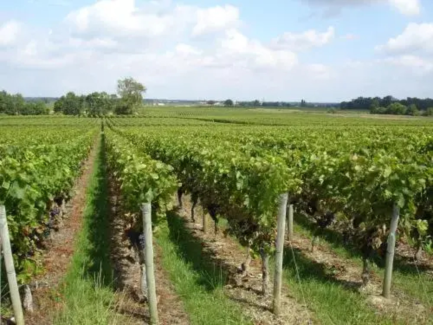 Château Beau Jardin