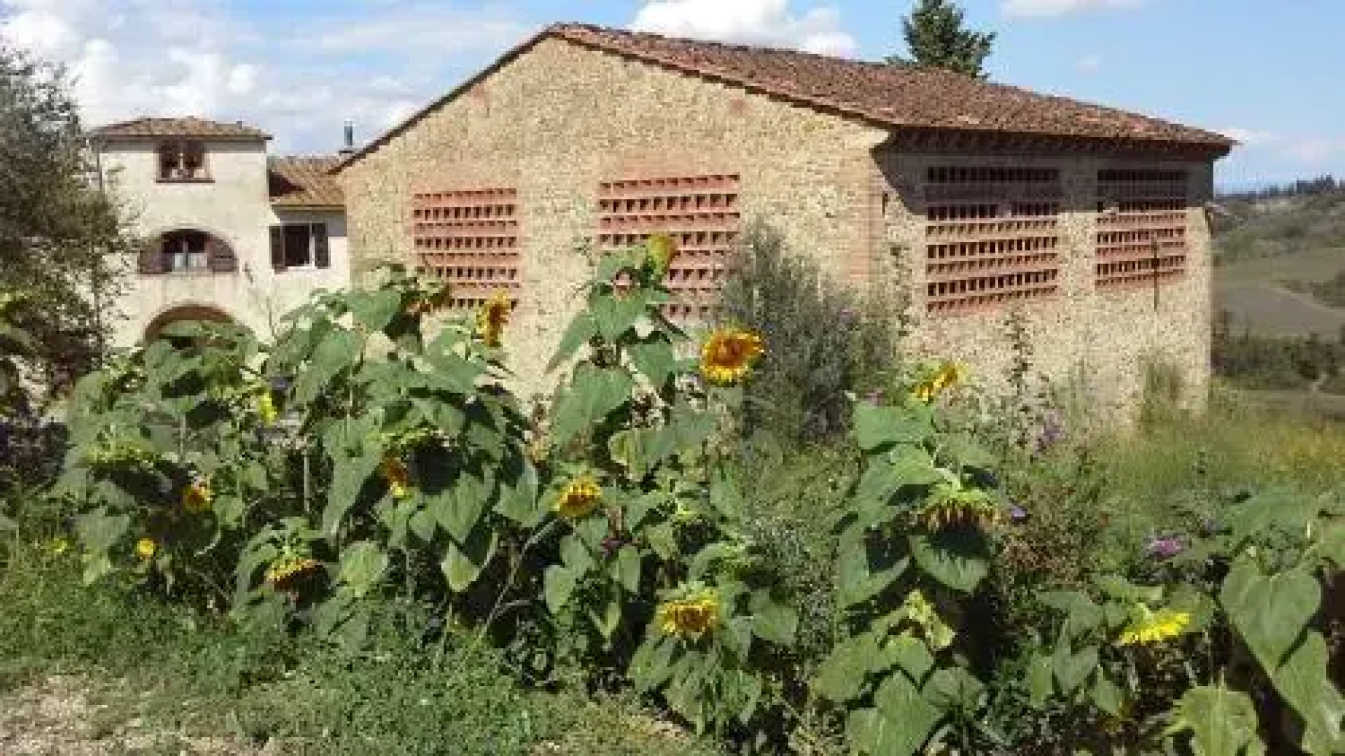 Fattoria Palaia