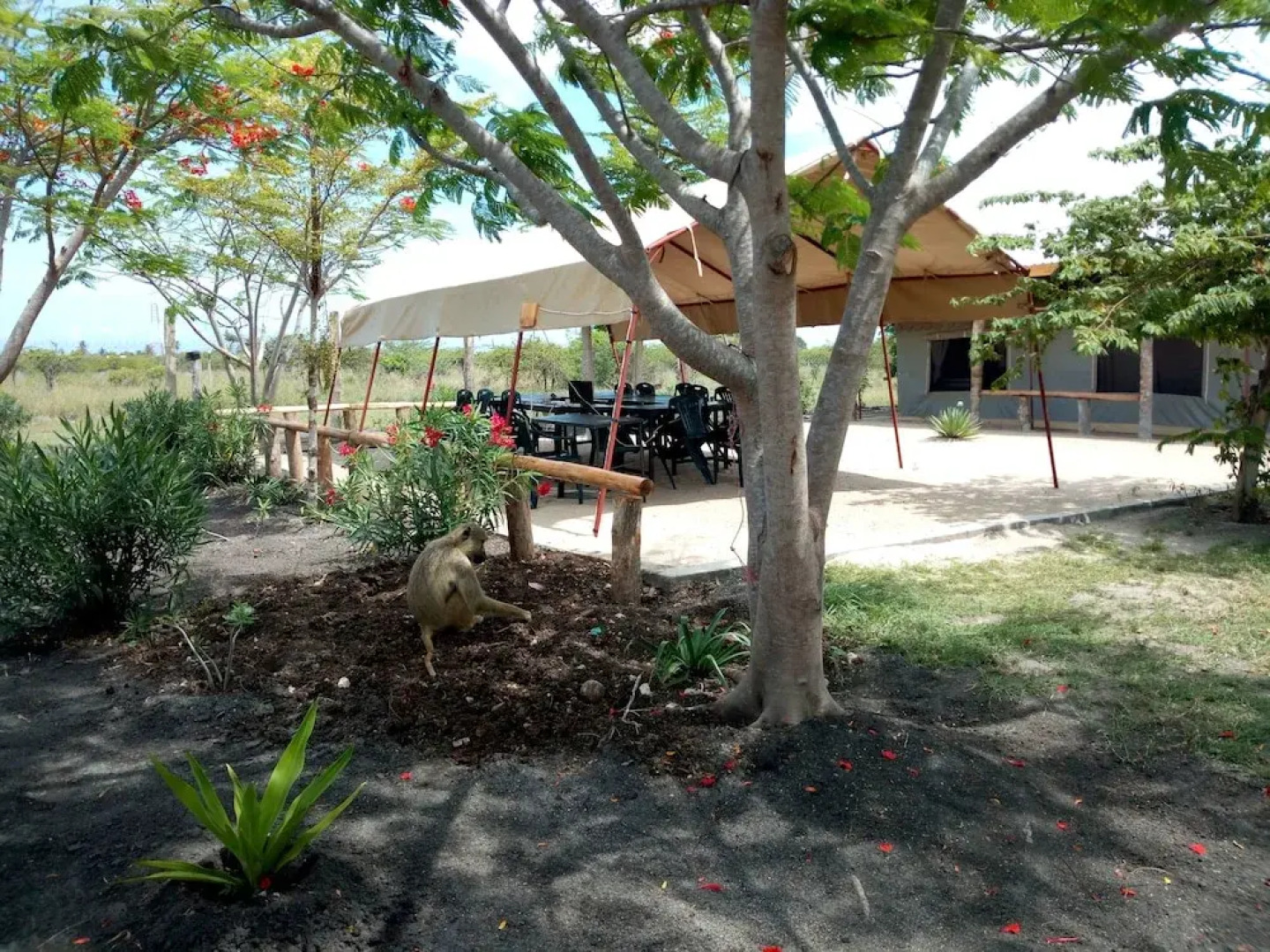 Tanganyika Coastal Campsite