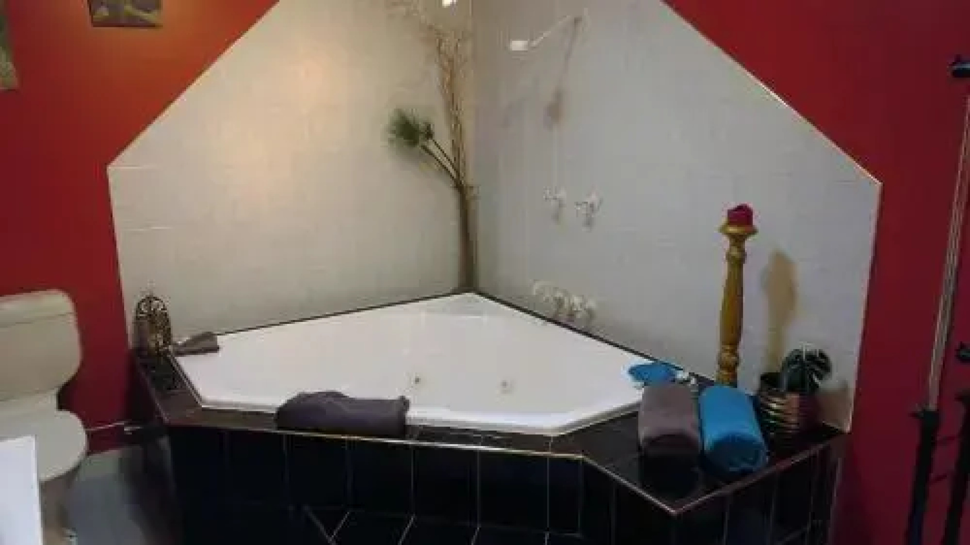 Gumtree on Gillies Bed and Breakfast